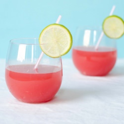 Watermelon Mojito Punch