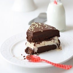 Chocolate Vanilla Frozen Cake