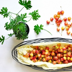 Yellow Cherry Jam with Geranium