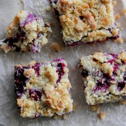 Blueberry-Lemon Crumb Bars