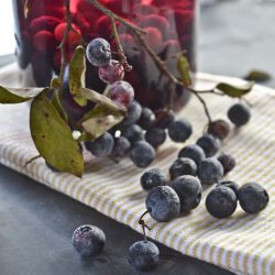 Blueberry Vodka