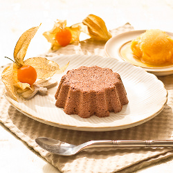 Frozen Chocolate Mousse