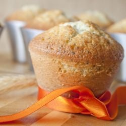 Lemon Poppy Muffin