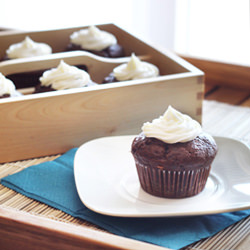Chocolate Cupcakes