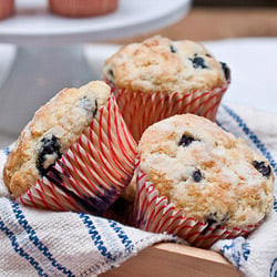American Classic–Blueberry Muffins