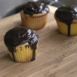 Boston Cream Pie Cupcakes