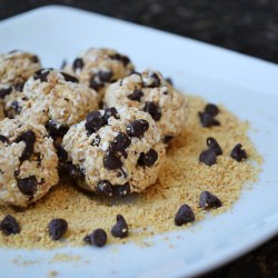S’mores Oatmeal Bites