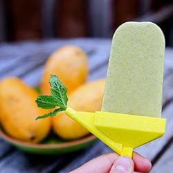 Tropical Fruit Popsicles