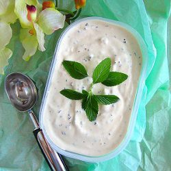 Mentha Stracciatela Gelato