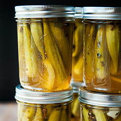 Pickled Okra