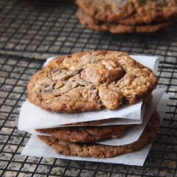 Compost Cookies