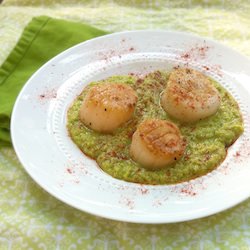 Seared Scallops in Fava Bean Puree