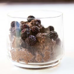 Chocolate Ricotta Mousse