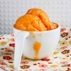 Refreshing Apricot Sorbet