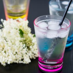 Elderflower Cordial