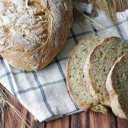 Zucchini Bread