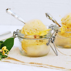 Apricot Sorbet with Honeysuckle