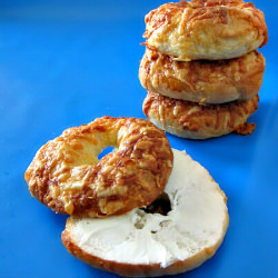 Asiago Bagels