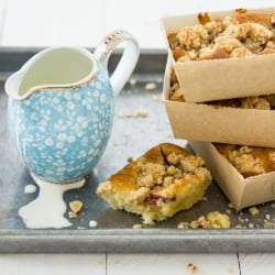 Moist Plum Cakes