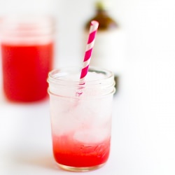 Homemade Soda