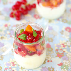 Yogurt and White Chocolate Cream