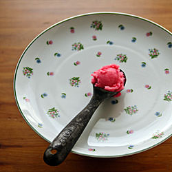 Fresh Lime and Red Currant Sorbet