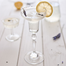 Lemon Lavender Cocktail