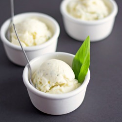 Basil Olive Oil Gelato