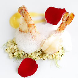 Shrimp with Fennel Couscous
