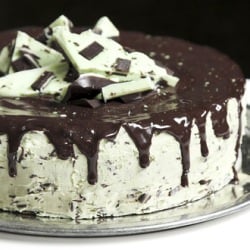 Andes Mint Chocolate Chip Cake