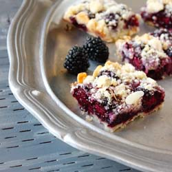 Blackberry Crumb Bars