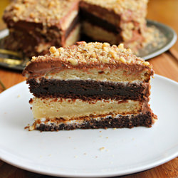 Vanilla-chocolate cake