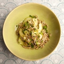 Cold Soba w/ Spicy Eggplant