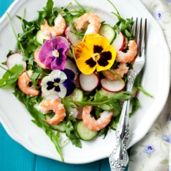 summer salad
