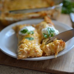 Creamy Chicken Enchiladas