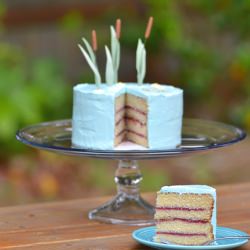 Almond & Raspberry Cattails Cake