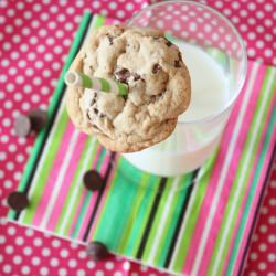 PB2 Chocolate Chip Cookies
