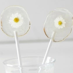 DIY Daisy Lollipops