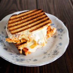 Pepper and Onion Panini