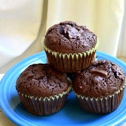 Texas Chocolate Muffins