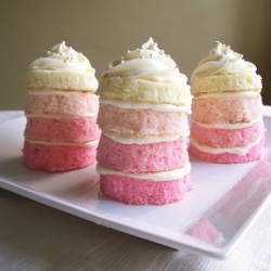 Pink Ombre Mini Cakes