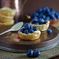 Fresh Blueberry Mini Tarts