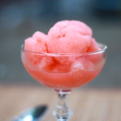Campari Grapefruit Sorbet
