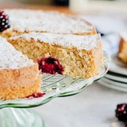 Blackberry and coconut cake