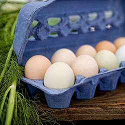 Farmers’ Markets & Photography