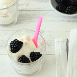 Greek Frozen Yogurt