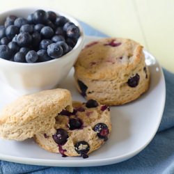 Blueberry Biscuits