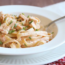 Salsa & Chicken Fettuccine