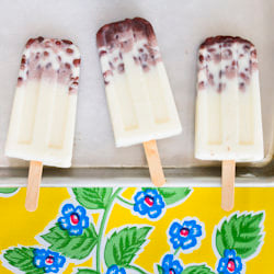 Coconut Ice Pops