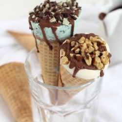 DIY Ice Cream Drumsticks
